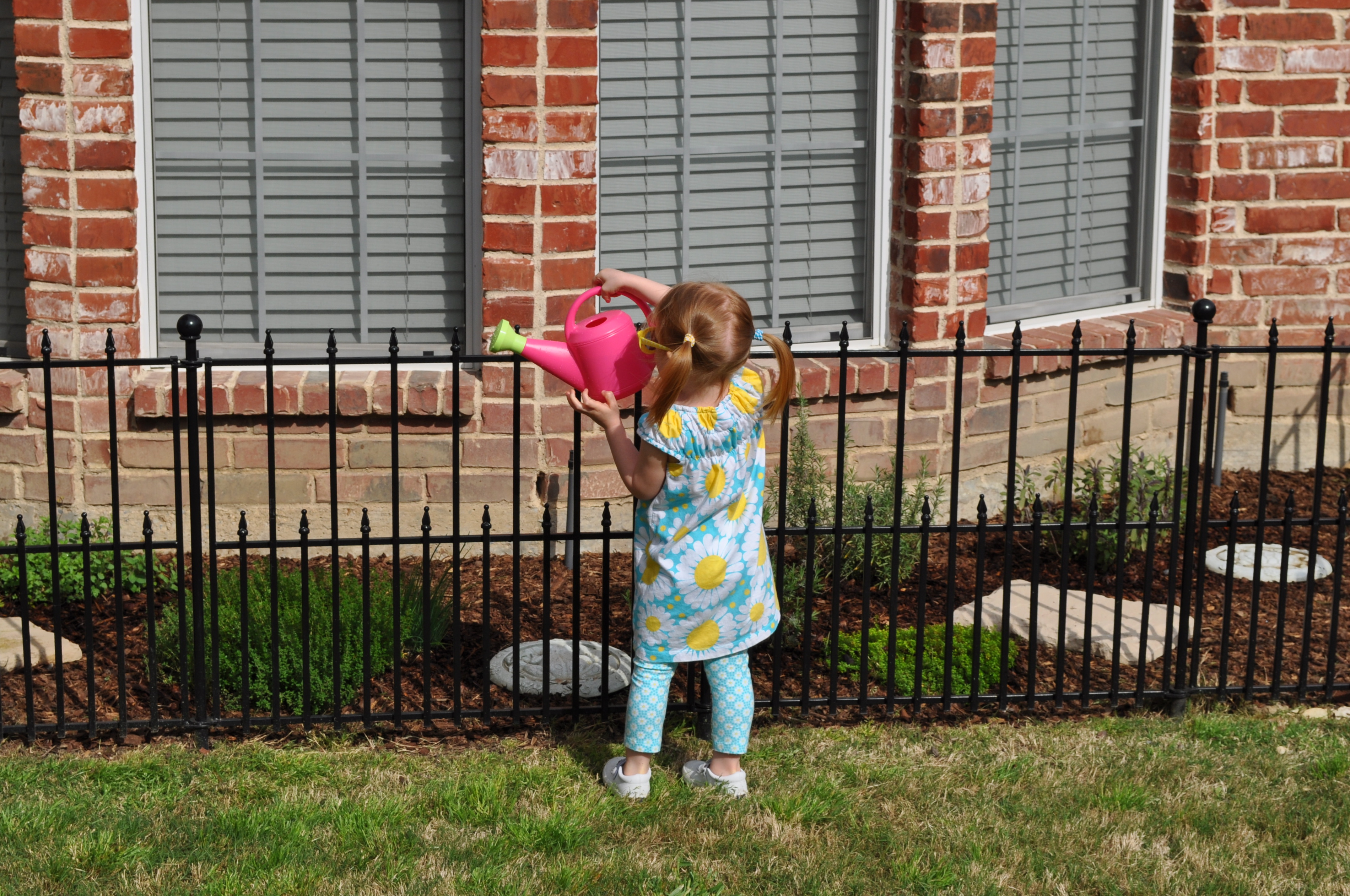 Herb garden